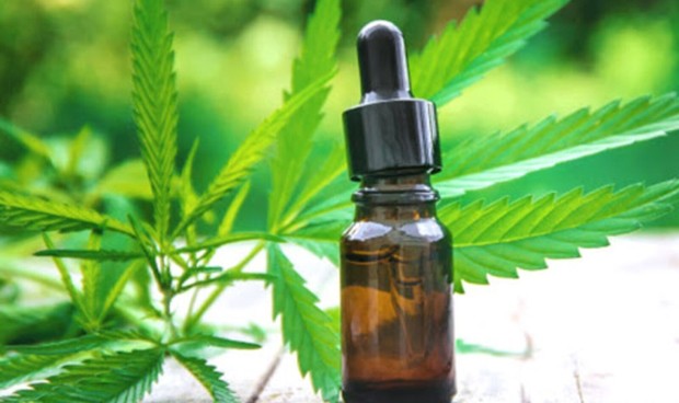 Potential purposes of CBD oil in medical care