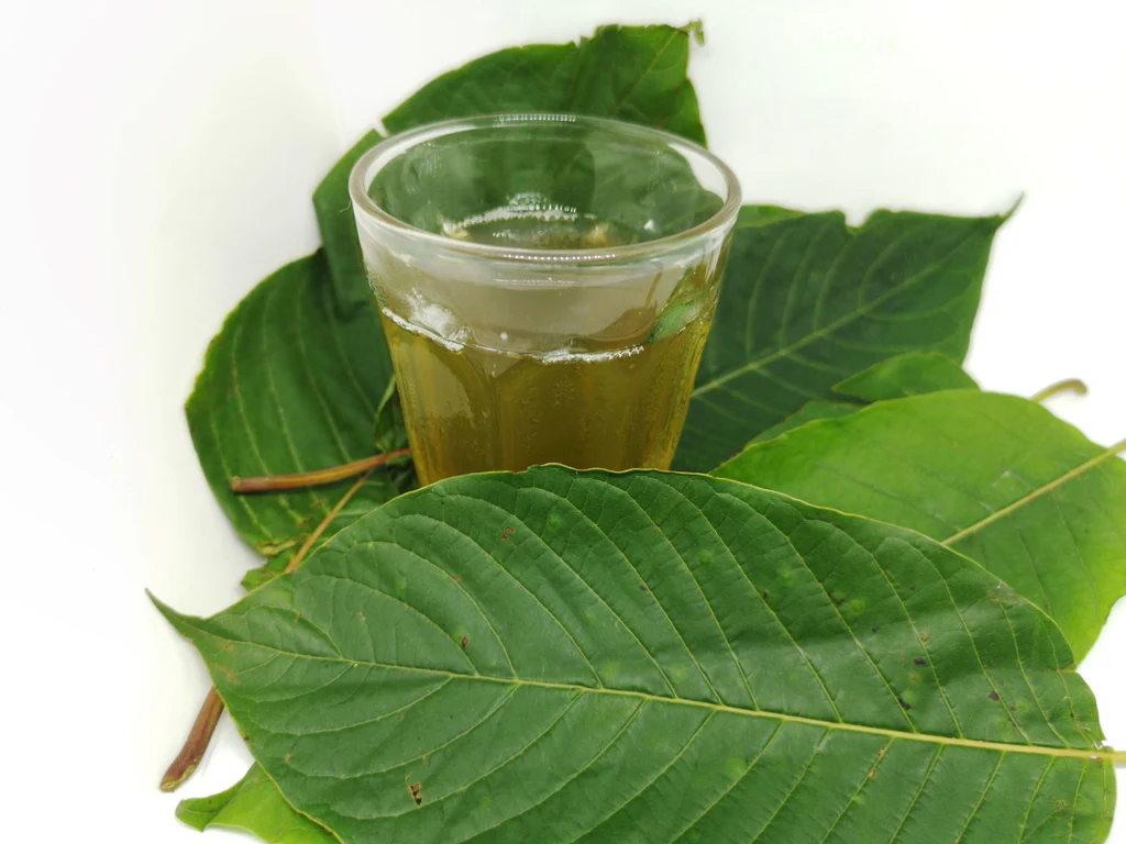 premium kratom tea
